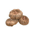 Konjac Extract Konjac Root Extract Konjac Glucomannan