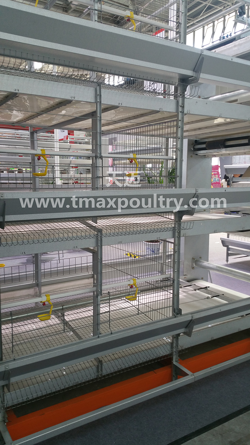 Pullet Cages