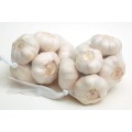 New Crop Pure White Garlic