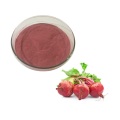 Food ingredients beetroot extract powder