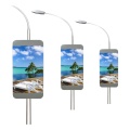 Neue Design Outdoor Street LED Light Pole Zeichen