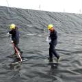 Waterproof Material HDPE Geomembrane Fish Farm Pond Liner