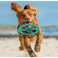 Hund Frisbee Interactive Fliegenscheiben-Haustierspielzeug