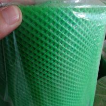 Green Color Extruded Plastic Plain Net