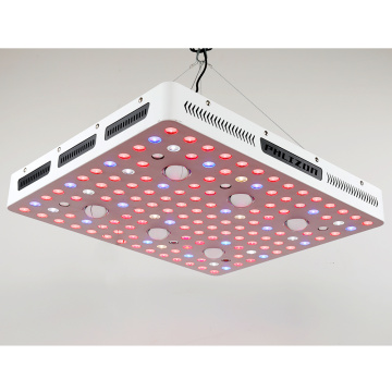 Ventilateurs de refroidissement LED lampe spéciale