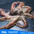 Pulpo hervido congelado de china alibaba fro exportación