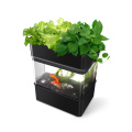 Innen in Smart Mini Garden Hydroponic Blume