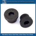 Hex Socket Pipe Plug