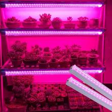 T8 LED Grow Clear Pinky Tube Iluminação