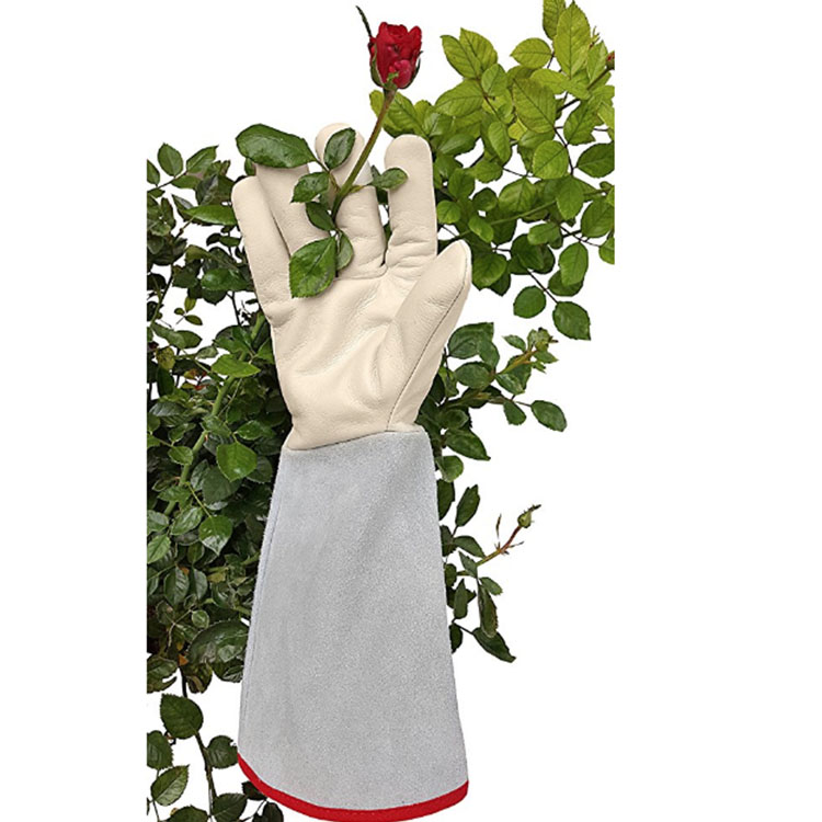 Garden Gloves