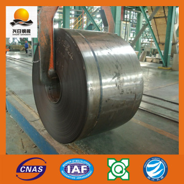 Cold Rolled Stainless Steel Coil/Sheet (Sm034)