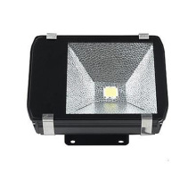 Luz de túnel LED ES-100W