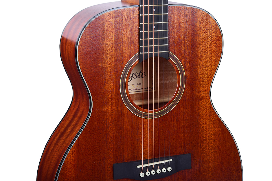Ts 22 40 Beginner Guitar Ts 22 40 Beginner Guitar