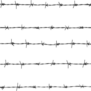 Bwg 16 Barbed Wire Fencing Hecho en China