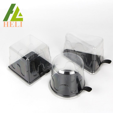 Round Plastic Blister Cake PET Container