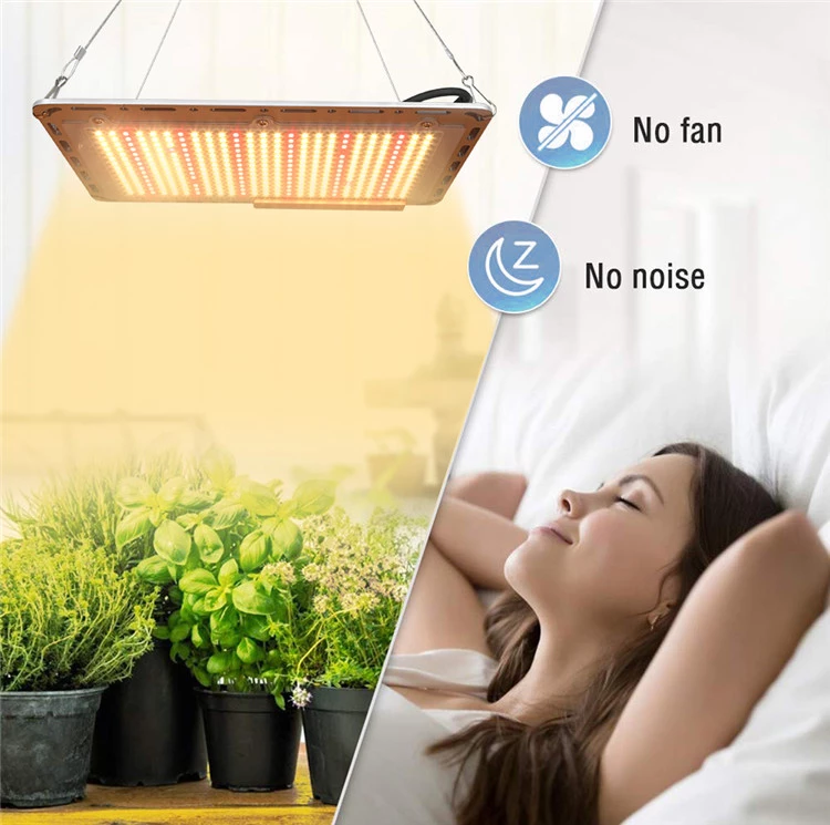 Best Indoor Led Grow Lights