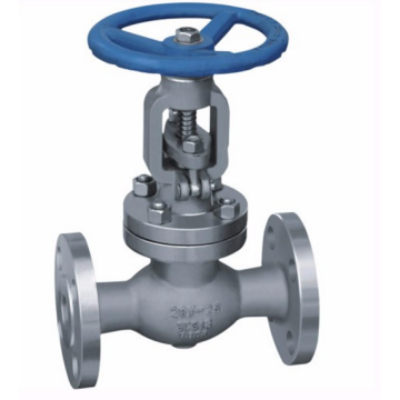 DN65 Straight Type Stainless Steel Globe Valve