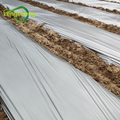 LDPE blowing agricultural mulch film