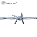 Galvanized Stainless Steel PVC Coated Barbed Wire