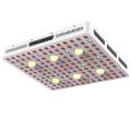 2000/2500/3000 Watt LED wachsen Licht COB Customized 2022