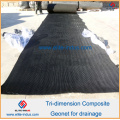 HDPE Geocomposite Geonet Drainage Net 200g / 5.5mm / 200g