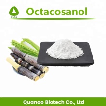 Sugar Cane Wax Extract Octacosanol Powder 90% Price