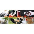 100% Black Cotton Polyester Gloves with 3 Ribs on Back Dch214