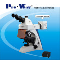 Microscopio Biológico Fluorescente Profesional (PW-BK5000FLED)