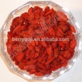 Fruta de Goji / Ningxia goji berry