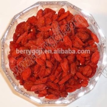 Goji fruit/Ningxia goji berry