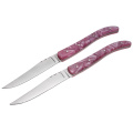 Cuchillo de acero inoxidable para carne Garwin con mango de resina