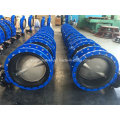 Double Flanged Butterfly Valve (WDS)