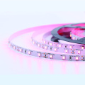 180leds 3528 smd led strip RGB