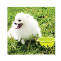 Flexible And Durable Foldable Silicone Pet Bowl