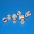 Metallized Ceramic Parts for Gas Discharge Tube