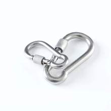 Stainless Steel Carabiner Snap Link with Screw