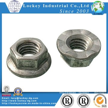 Stop Nut / Hex Flange Nut