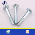 Railyway Use Quality DIN603 Track Bolt