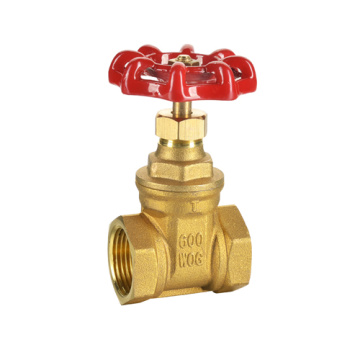 PN20 Brass Gate Valve Sans plomb