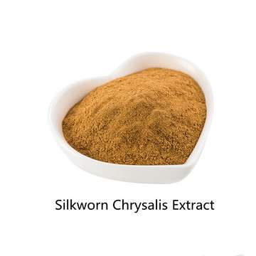 Exportação profissional ingredientes Silkworn Chrysalis Extract