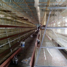 Oeufs en caoutchouc à la viande Poulet Cage Henhouse Rich Business en Chine