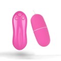 Remote Control  Vibrating Love Egg Plastic Sex Toys