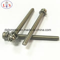 Ss 304 Torx Recess Bolt with Washers