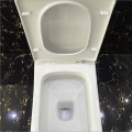 Hot Sale Washdown One-Piece Toilet to Middle East Market