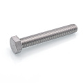 Stainless Steel Hexagon Head Bolt