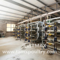 H Type Broiler Farming Equipment