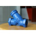 1/2"-10" NPT End Y Strainer