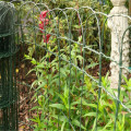 Clôture de jardin en fil de fer serti