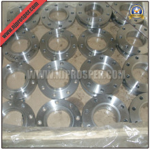 Ss 304/316 Flanges (YZF-F101)