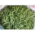 Frozen IQF Green Bean Cuts